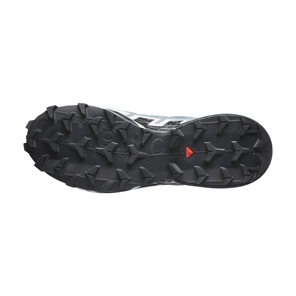 Salomon Women's Speedcross 6 GTX Flint Stone/Black/Heather
