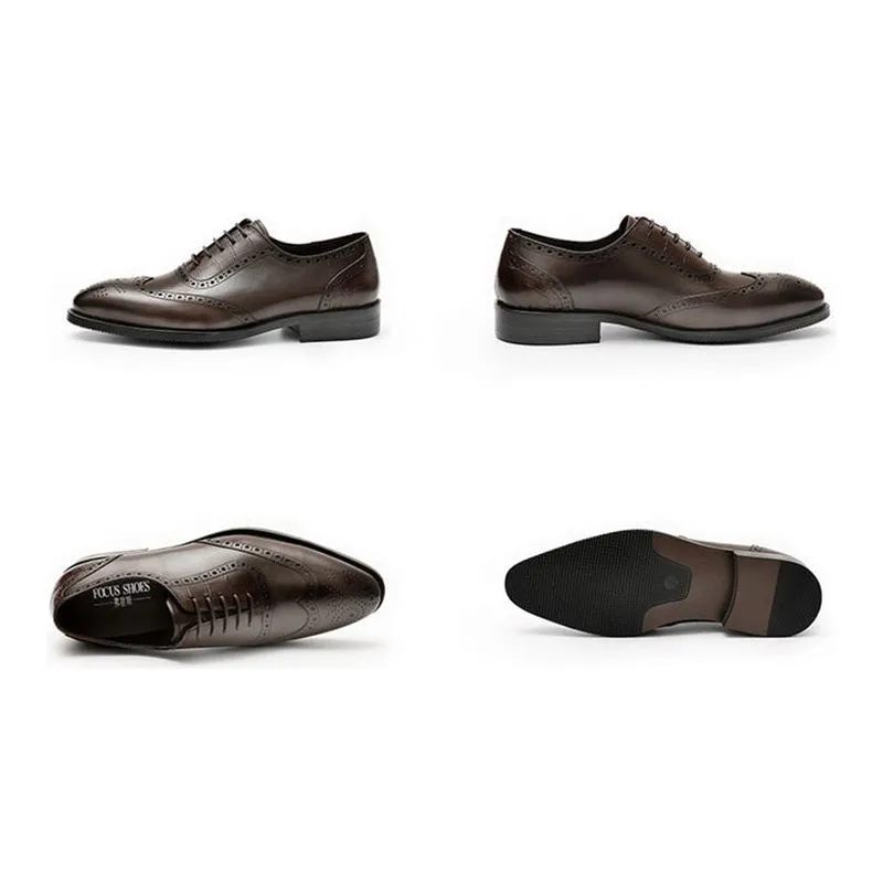 Serpatura Brogue Elegance